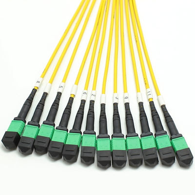 Máy trục MPO Fanout Cable Lượng lớn 1M 144F SMG657A1 MPO APC đến MPO APC Breakout Fiber Optic Patch Cord