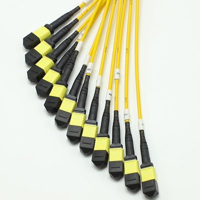 144F MTP MPO Fanout Cable SMG657A1 MPO APC đến MPO APC Breakout Fiber Optic Patch Cord