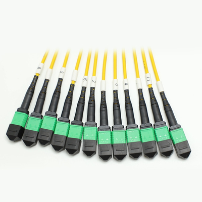 144F MTP MPO Fanout Cable SMG657A1 MPO APC đến MPO APC Breakout Fiber Optic Patch Cord