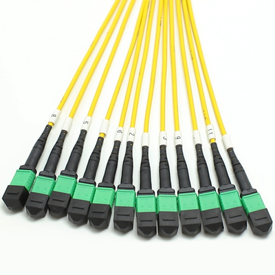 100G 200G MPO Nam nữ 8 12 16 24 Sợi đến MPO nữ nam dây vá sợi quang cho dây điện mật độ cao trong không gian nhỏ